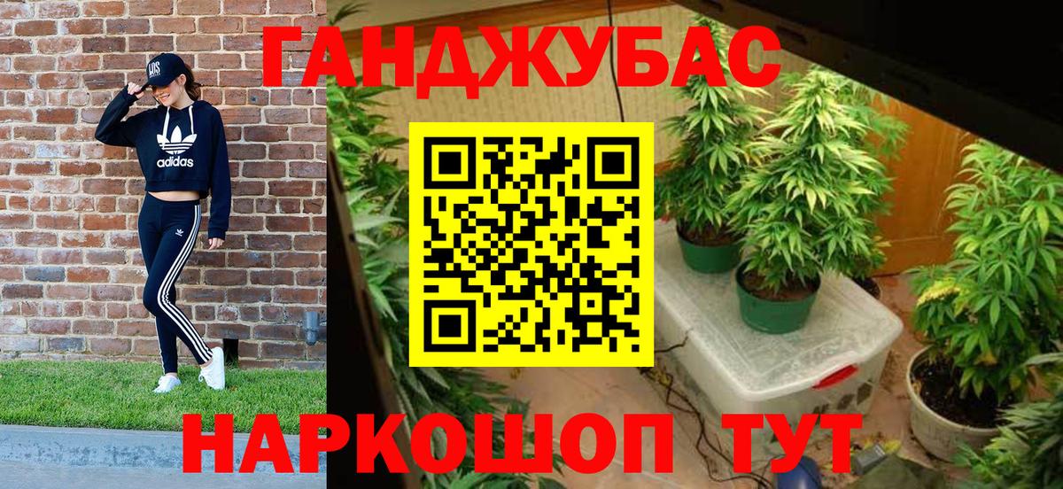 Конопля конопля Киров